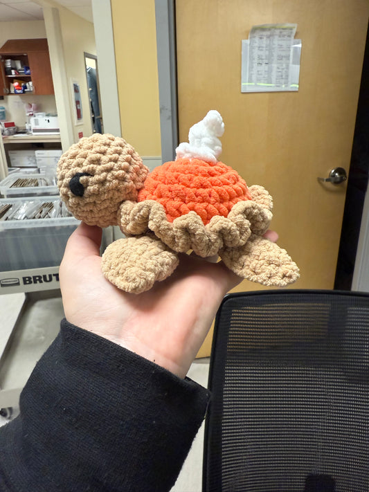 Pumpkin pie turtle